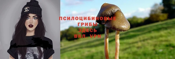 круглые Богородицк