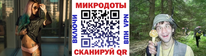 Купить где  Велиж  Псилоцибиновые грибы Magic Shrooms 